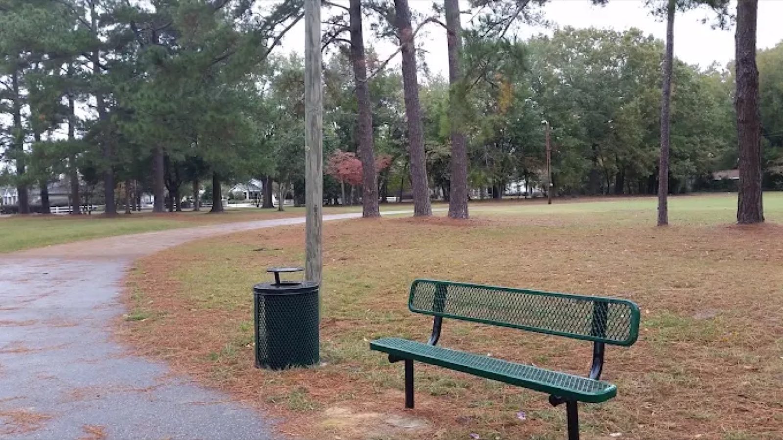 Beacham Park, looking across the field