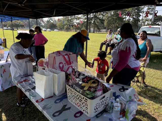 From the Community Cancer Walk, 19 September 2026, photo 29