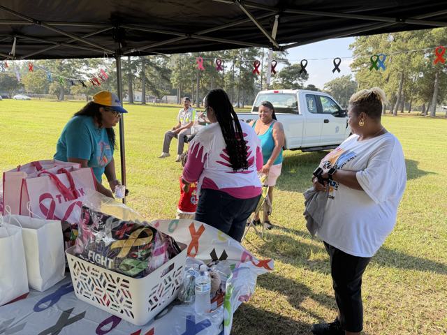 From the Community Cancer Walk, 19 September 2026, photo 31