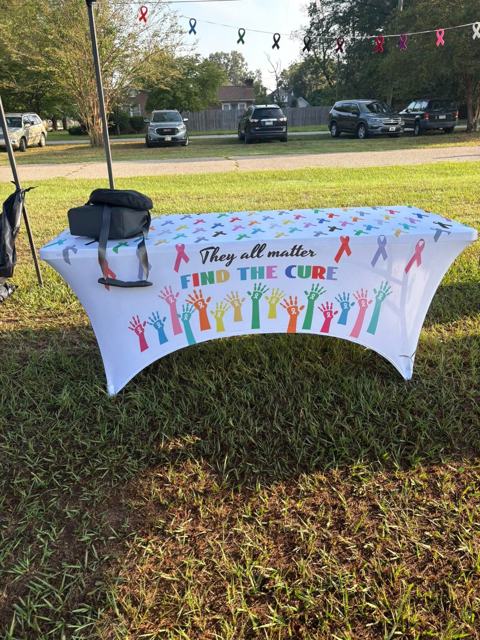 From the Community Cancer Walk, 19 September 2026, photo 49