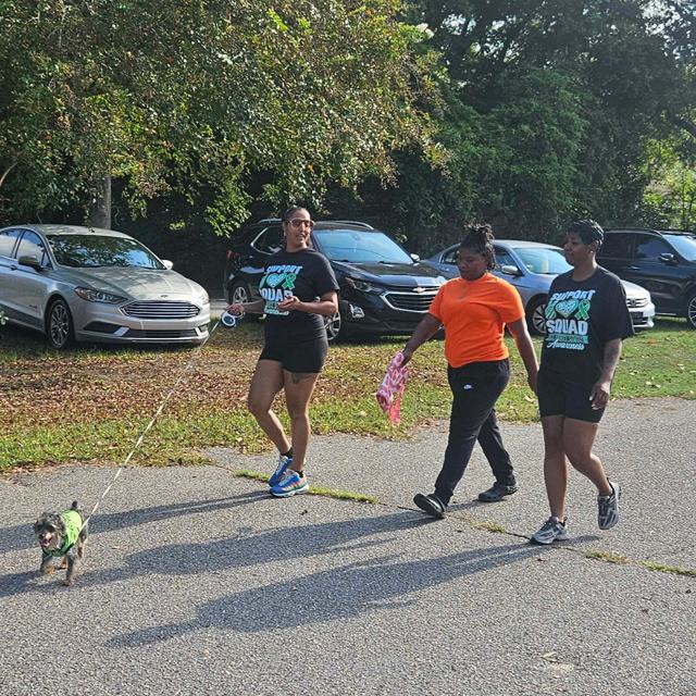 From the Community Cancer Walk, 19 September 2026, photo 89