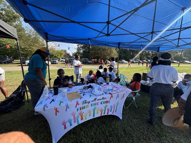 From the Community Cancer Walk, 19 September 2026, photo 128