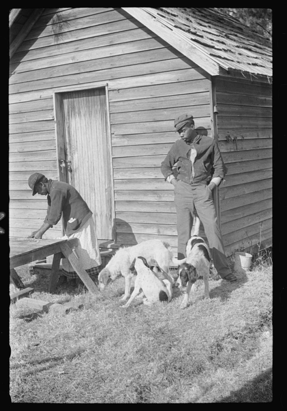 A woman preparing chitlins after hog-killing, near Maxton